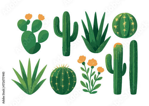 Collection of various cacti and succulents with flowers on white background
