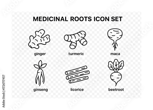 Medicinal roots icon set: ginger, turmeric, maca, ginseng, licorice, beetroot illustrations