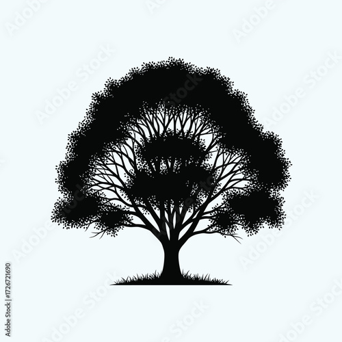 A silhouette of a lush tree with dense foliage and branches