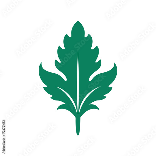 Acanthus leaf botanical vector art illustration