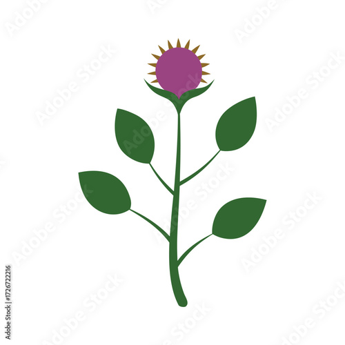 Burdock plant botanical vector art illustration