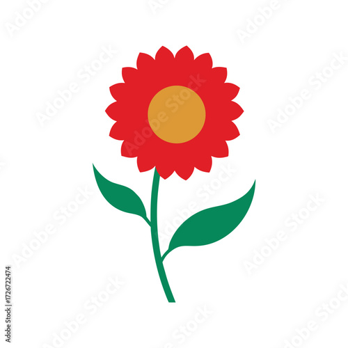 China aster flower botanical vector art illustration