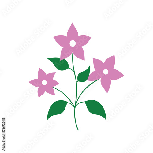 vector illustration of a flower