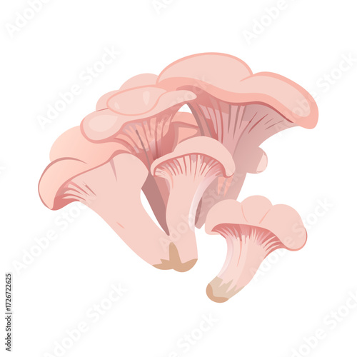 mushroom on white background