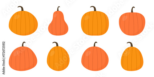 Set of pumpkins. Collection of isolated pumpkins. Vector