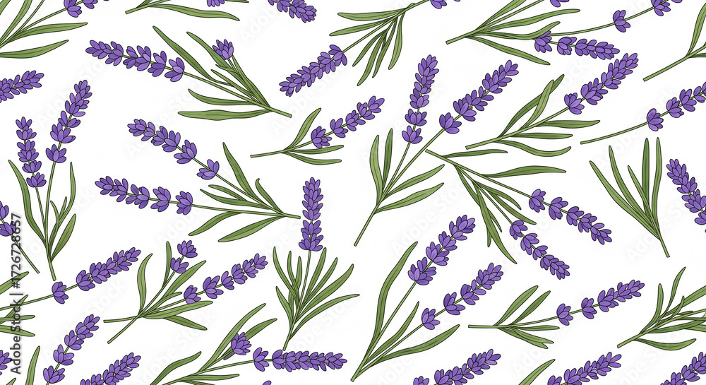 Fototapeta premium Floral Lavender Repeating Botanical Illustration