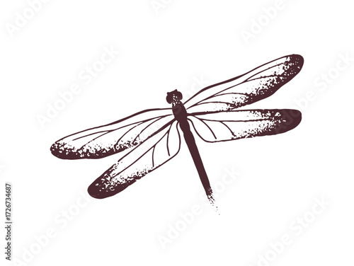 Sketch of retro tattoo of dragonfly in dotwork style. Vintage tatoo of damselfly. Stylish tatto with flying insect, gothic animal. Hand drawn outline isolated vector illustration on white background