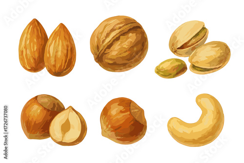 Assortment of healthy nuts including almonds, walnuts, pistachios, hazelnuts, and cashews on white background