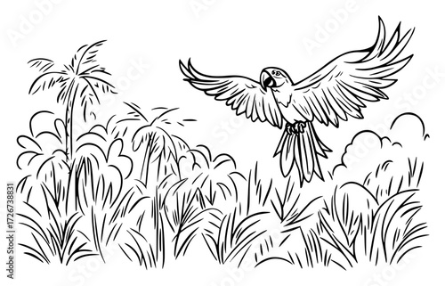Vibrant macaw parrot hovering over lush jungle foliage – exotic rainforest bird line‑art illustration