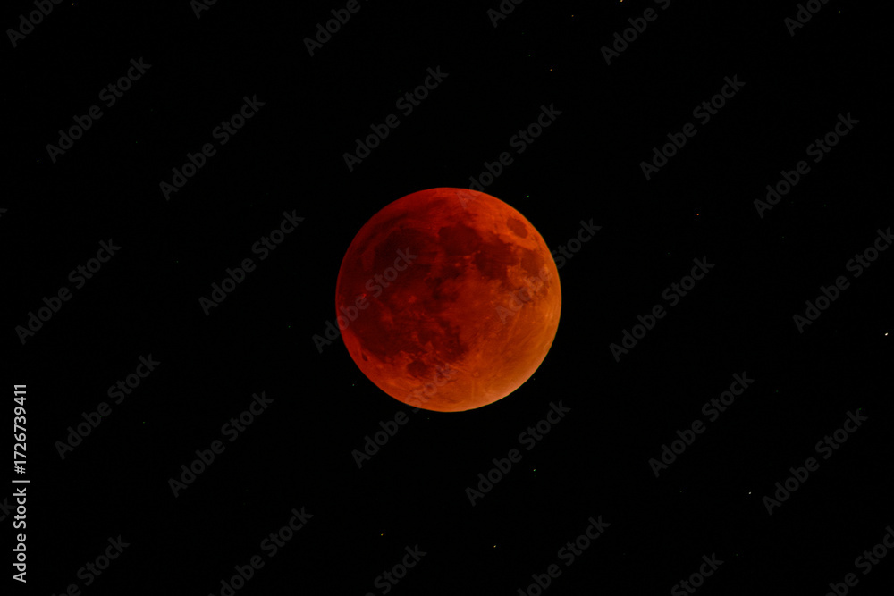 Fototapeta premium Lunar eclipse – Blood Moon