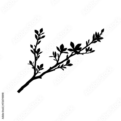 Black silhouette of a leafy branch on white background