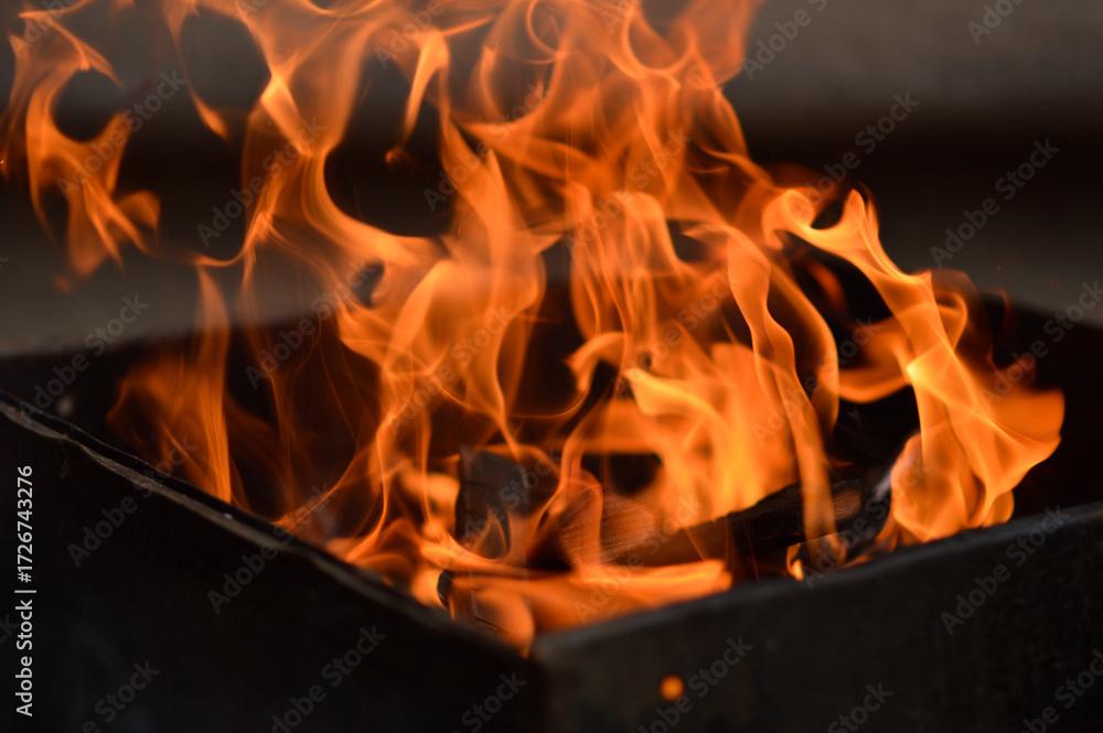 Obraz premium burning woods on open fire background