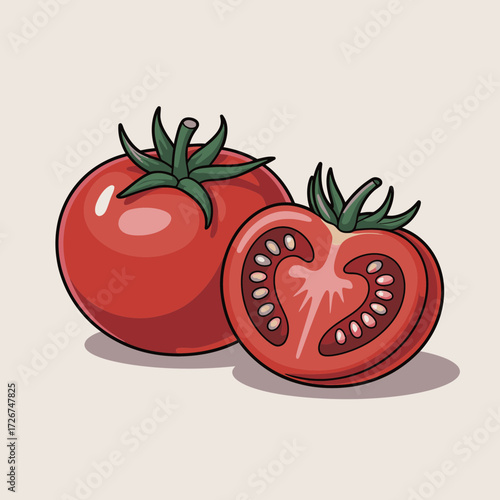 tomato vector illustration