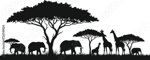 African wildlife silhouettes, savanna animals, acacia trees, elephants giraffes rhino, nature scene, black vector, illustration set