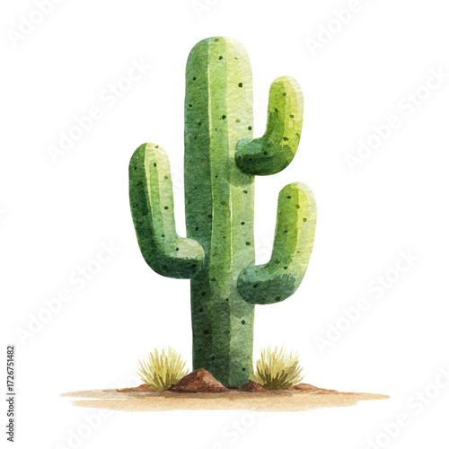 Cactus plant silhouette on a black background showcasing its unique shape and texture with dramatic lighting