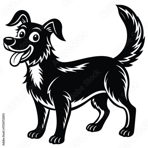 black and white dog