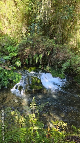 Beautiful Saltos Ojos del Huishue waterfall in southern Chile, surrounded by lush green forest and rugged rocks, a stunning natural escape.