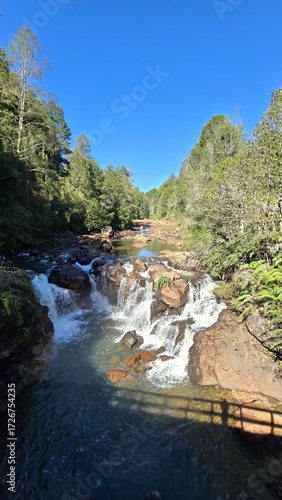 A breathtaking waterfall cascading through lush greenery, surrounded by forest and rocks, capturing the beauty and power of untouched nature.