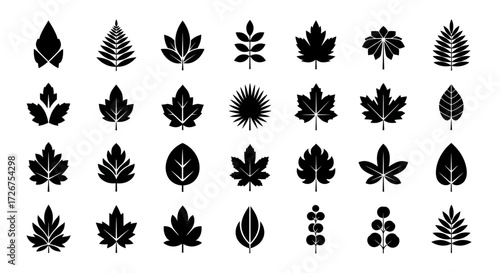 Collection of Various Stylized Black Leaf Icons on White Background