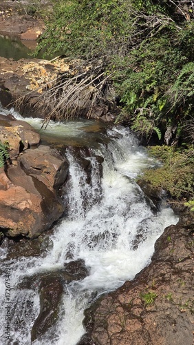 A breathtaking waterfall cascading through lush greenery, surrounded by forest and rocks, capturing the beauty and power of untouched nature.
