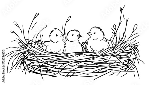 Three baby birds chirping eagerly in twig nest – cute springtime avian sketch illustration