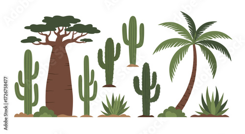 A collection of desert plants including a baobab tree several cacti and a palm tree.