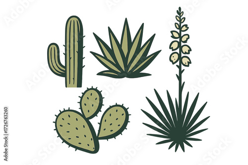 Stylized desert plants collection with saguaro cactus, prickly pear, agave, and blooming yucca flowers in a natural color palette