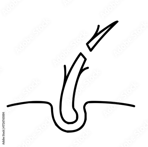 Simple hairline illustration showcasing split ends, use for haircare product ads, promoting hair health, or beauty blogs with a clean, modern aesthetic