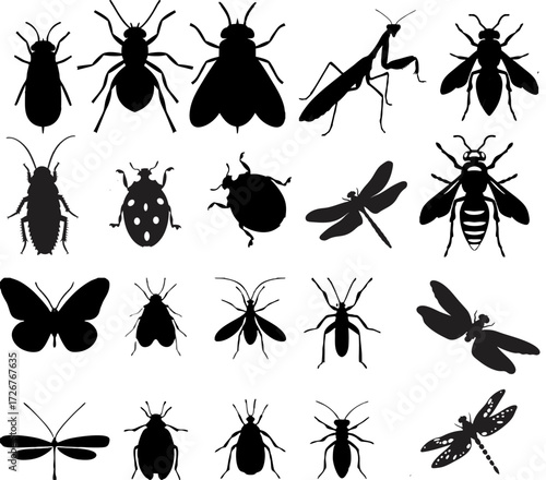 Insect Silhouette Icon Set – 20 Black Vector Bugs for Biology, Entomology, and Graphic Design on Transparent Background