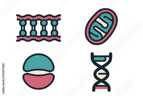 Abstract scientific representation of fundamental biological structures and genetic components for education and research