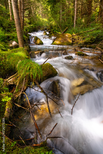 waterfall in the forest