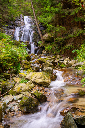 small waterfall in the forest