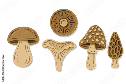 Assortment of various edible and wild fungi in a modern layered paper cut style on a clean white background