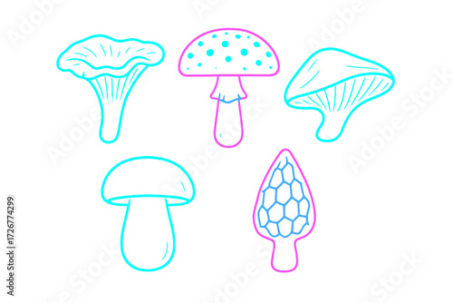 Stylized outline collection of diverse wild and edible mushroom species including chanterelle, boletus, and morel fungi