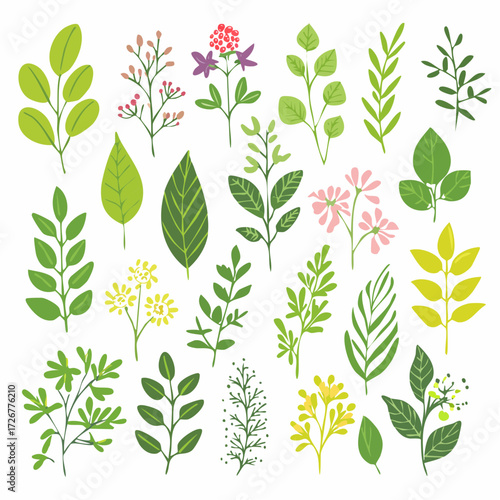 A collection of plants from the collection by person
3