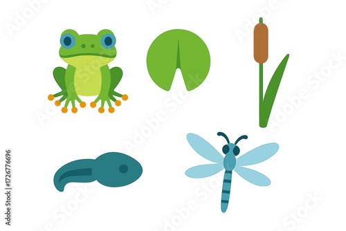 Vibrant cartoon frog, tadpole, dragonfly, lily pad, and cattail depicting diverse freshwater pond life ecosystem