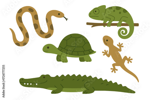 Collection of various cartoon reptiles including snake, turtle, chameleon, gecko, and alligator on white background