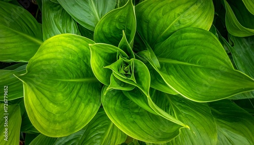 Close-up of vibrant green leaves (5)