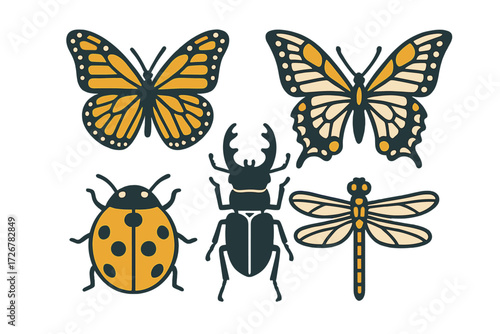 Diverse collection of common insect species featuring colorful butterflies, a ladybug, a stag beetle, and a dragonfly