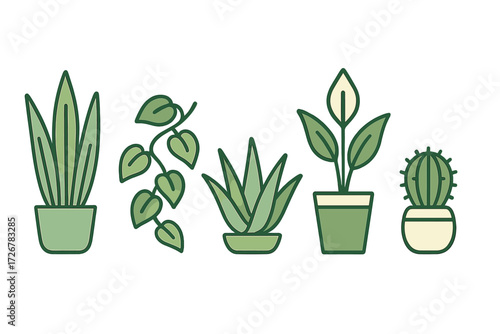Potted green houseplants collection for interior design, featuring peace lily, snake plant, aloe vera, and cactus