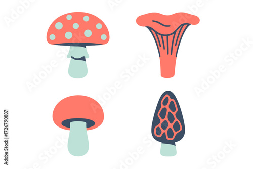 Collection of stylized mushrooms including fly agaric, chanterelle, and morel in a modern graphic style