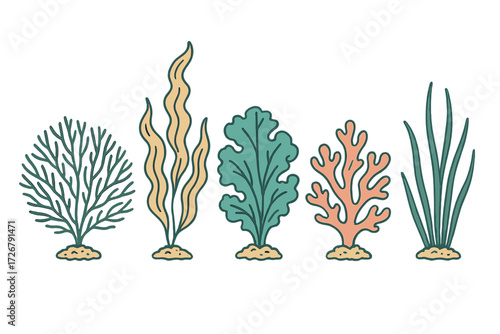 Collection of diverse underwater plants, marine algae, and coral-like organisms in a stylized design