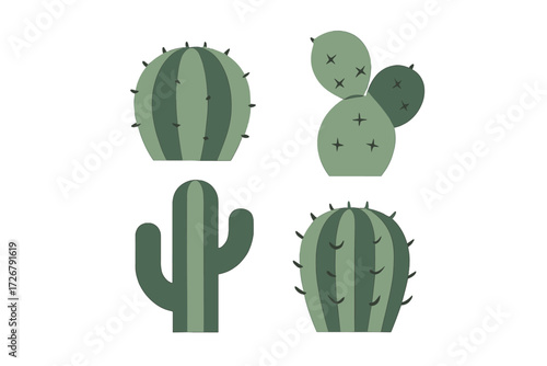 Diverse collection of stylized green desert plants featuring various shapes, sizes, and prominent thorns in a clean graphic style