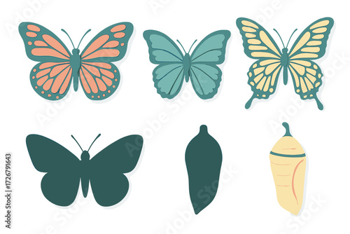 Collection of butterfly life cycle stages including colorful insects and a chrysalis on a clean white background
