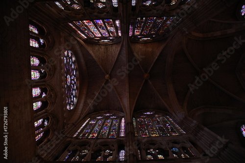 Techo con vueltas de catedral gotica