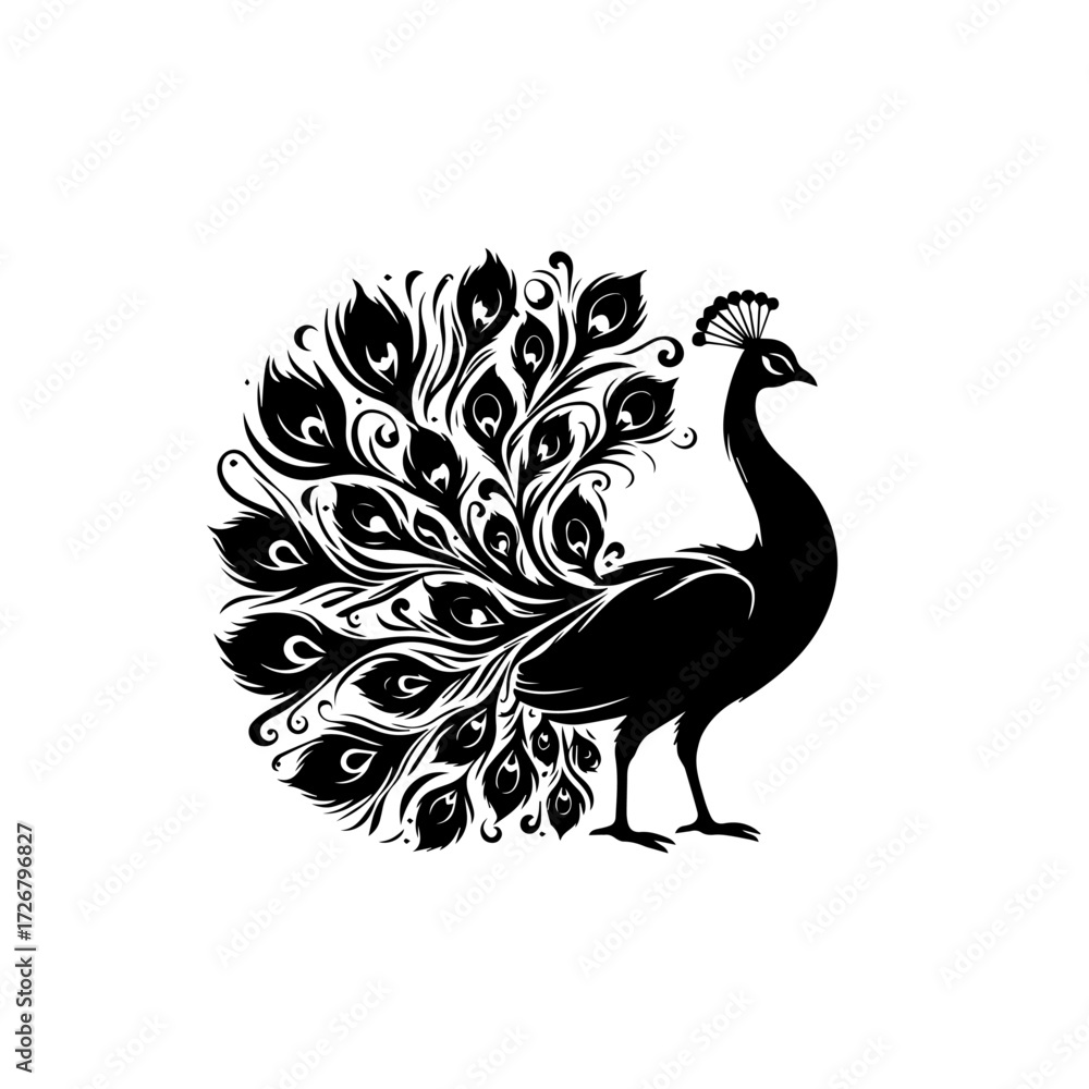 Fototapeta premium Beautiful Peacock Vector Illustration