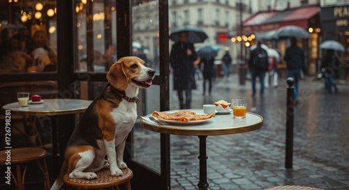 Beagle dog sitting at café table with food on rainy street  
