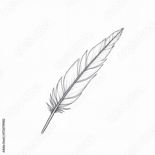 Detailed sketch of a feather on a white background  