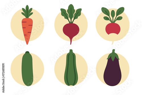 Colorful illustration of fresh vegetables including carrots, radishes, cucumbers, zucchinis, and eggplants arranged in circles