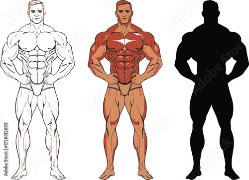 Three representations of a muscular bodybuilder showing outline colored and silhouette versions on white background Keywords: bodybuilding, bodybuilder, muscular, man, male, fitness, athlete